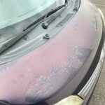 車の画像